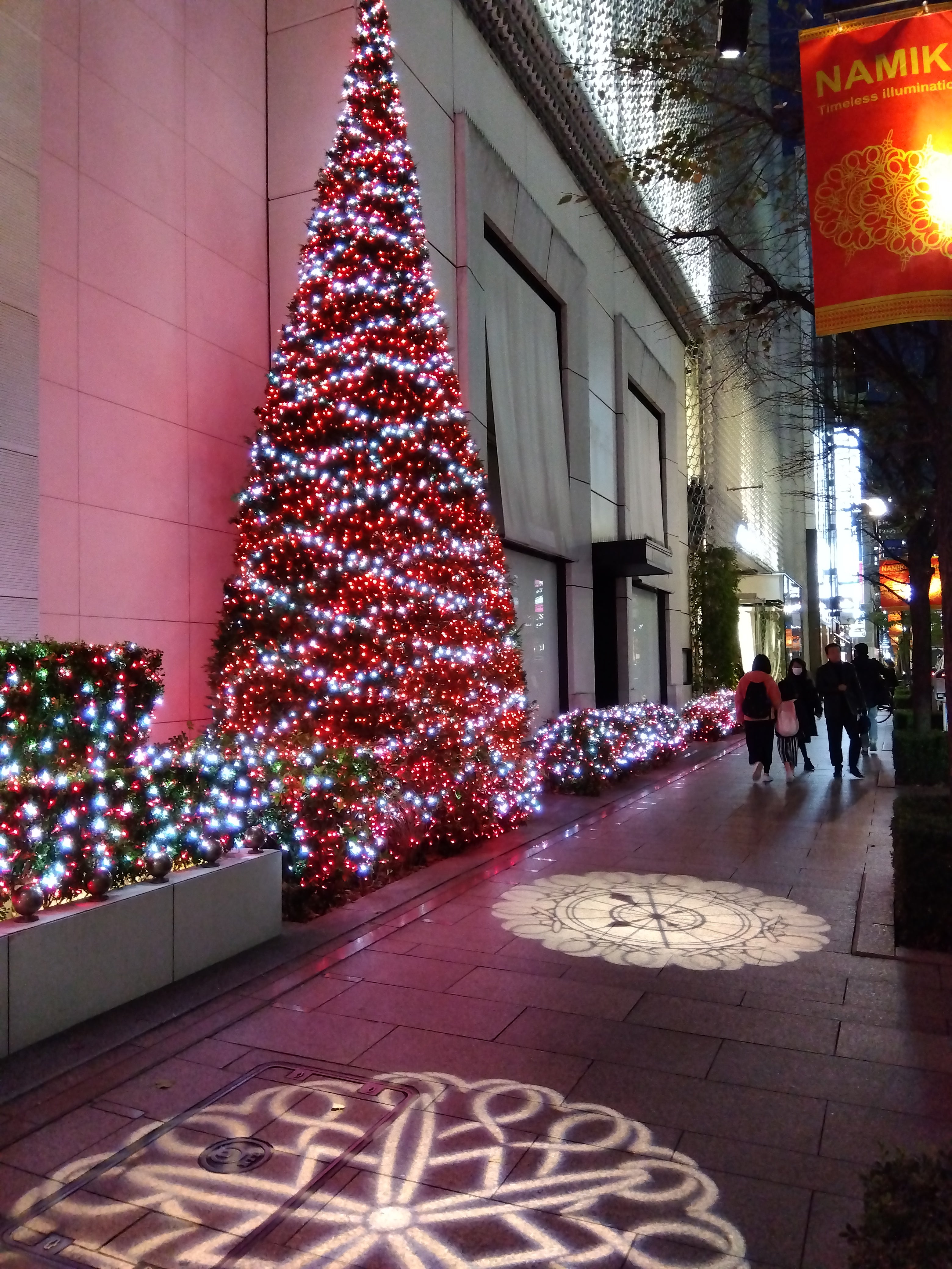 クリスマスツリーと電飾