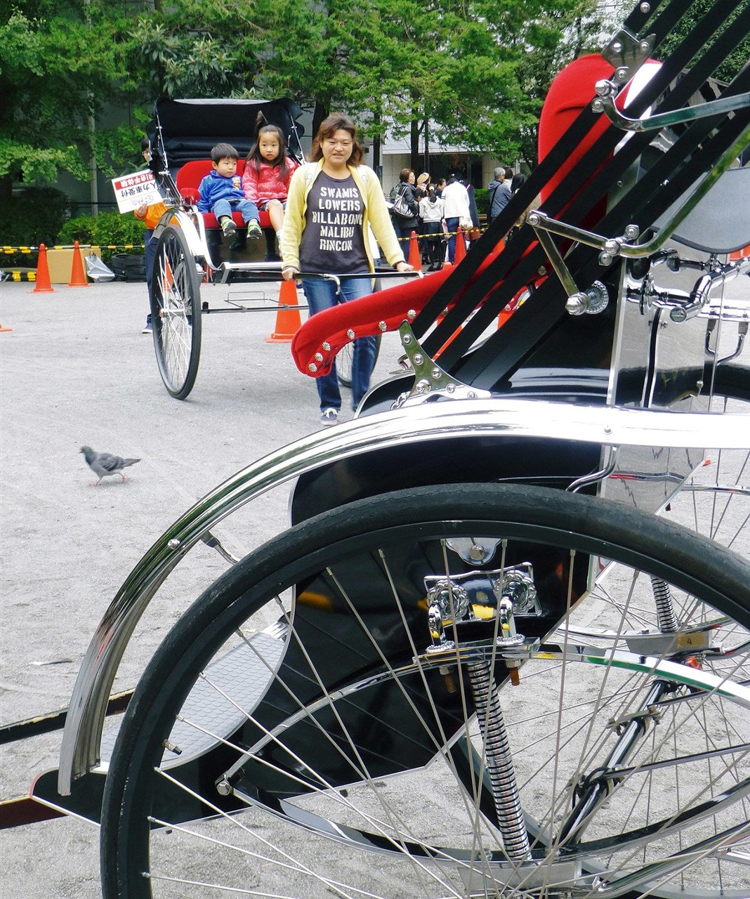 楽しい人力車体験