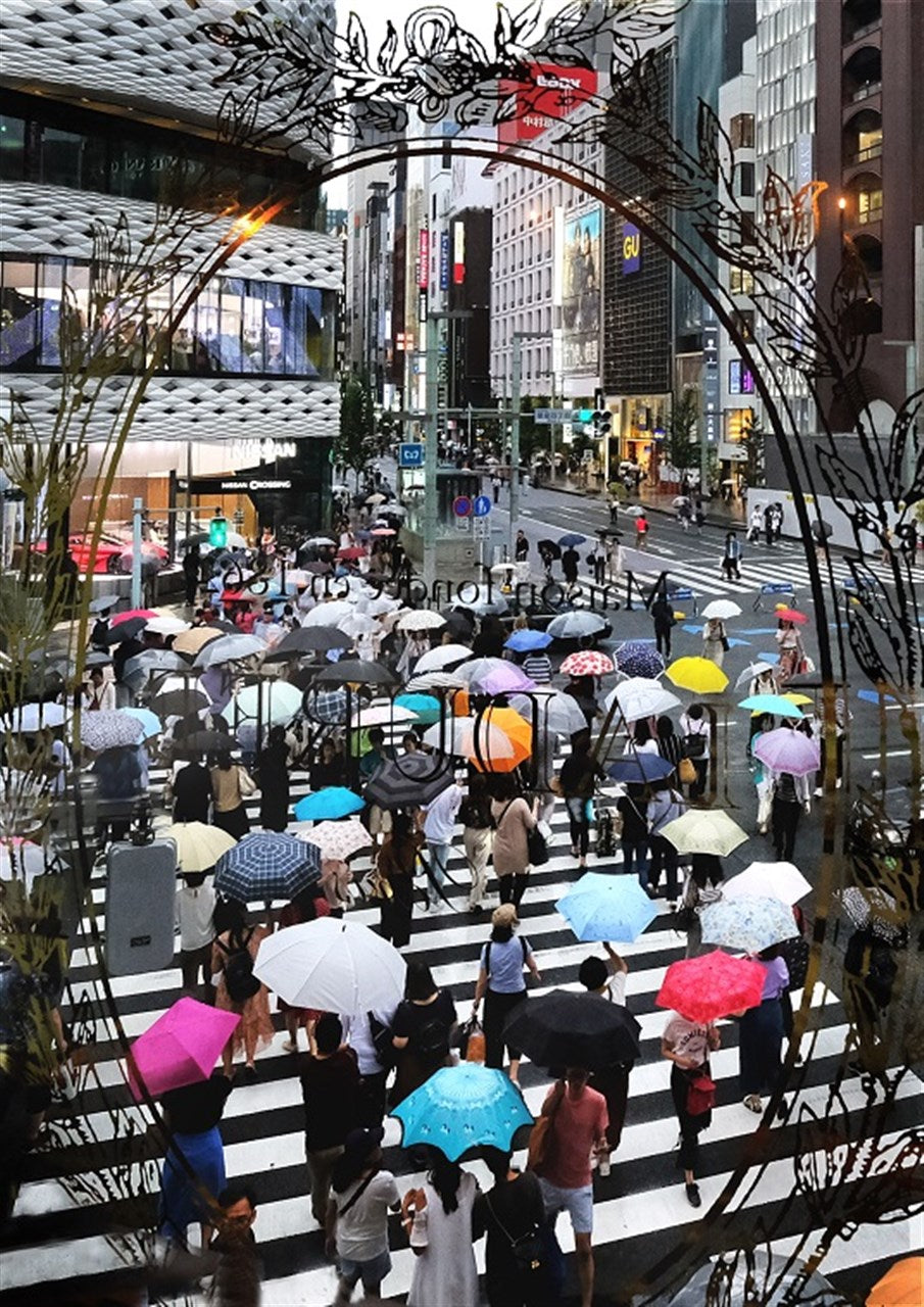 雨の彩り