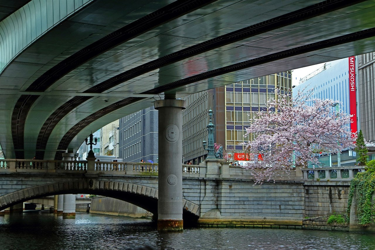 サクラ日本橋