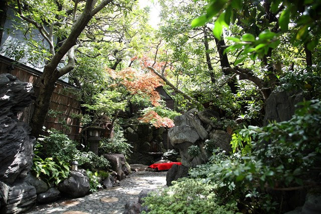 画像：緑のある風景
