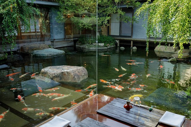 画像：緑庭の大池